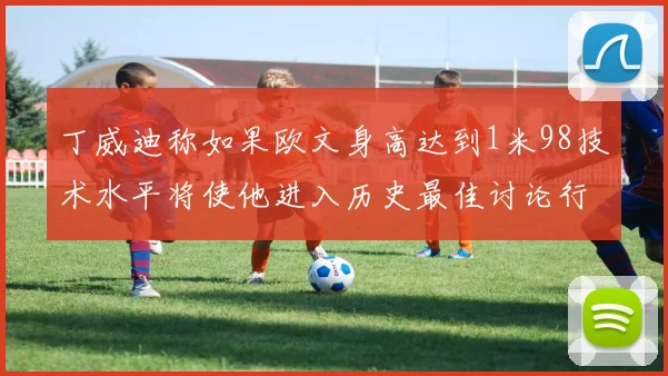 丁威迪称如果欧文身高达到1米98技术水平将使他进入历史最佳讨论行列