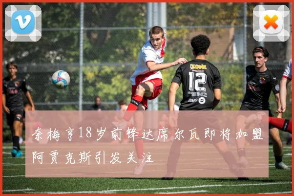 奈梅亨18岁前锋达席尔瓦即将加盟阿贾克斯引发关注