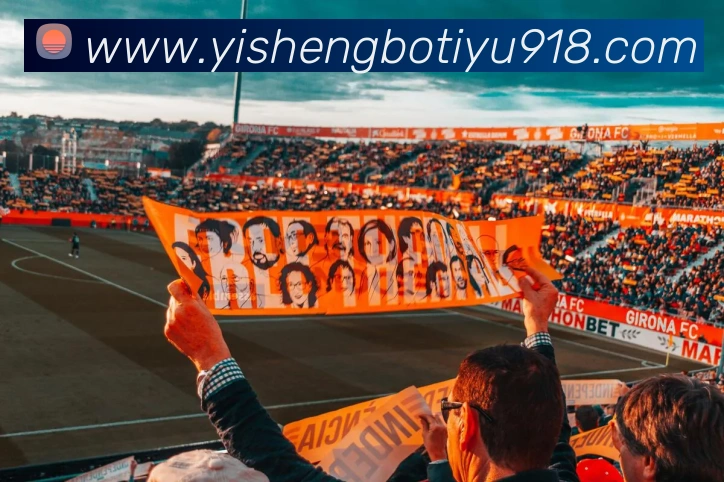 多媒体互动体验