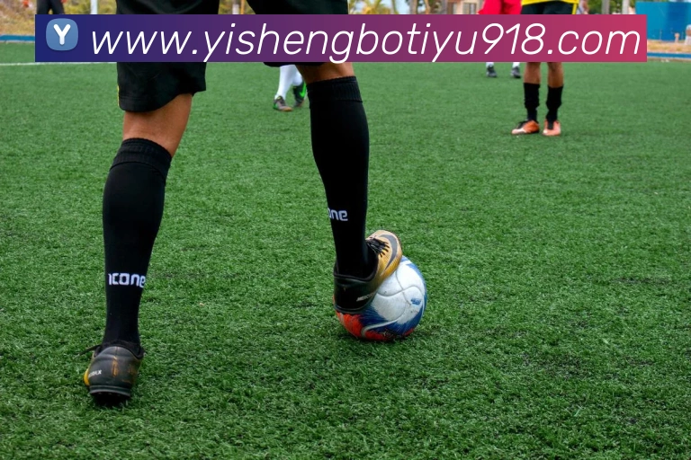 易胜博体育APP 高清赛事图